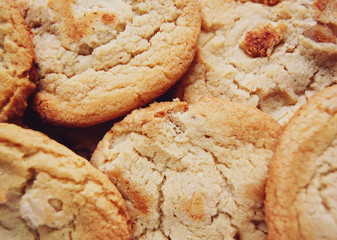 Background of tasty crispe home made cookies with nuts and white chocolate.