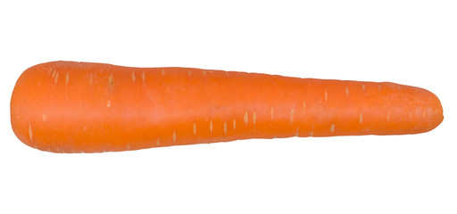 A single carrot isolated on white background with clipping path
