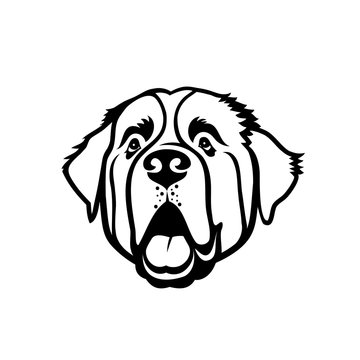 St. Bernard dog - isolated outlined