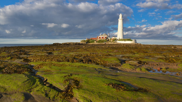 St. Mary's Lighthouse, Northumberland, England, Great Britain