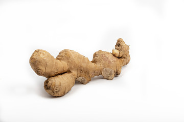 Radice di Zenzero