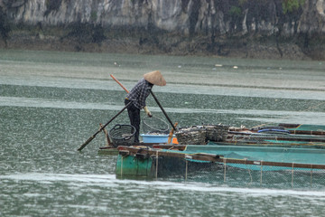 floating fish farm in ha long bay vietnam