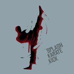 splash karate kick © akhid