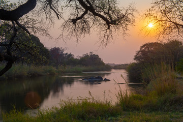 Sonnenaufgang am Ufer des Cubango, Okavango, bei Rundu, Region Kavango-Ost, Namibia