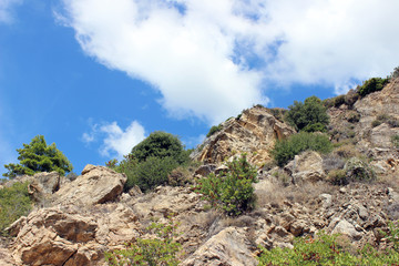 Fototapeta na wymiar Hillside with vegetation horizontal eroded