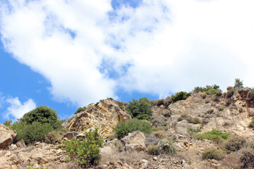 Hillside with vegetation horizontal eroded