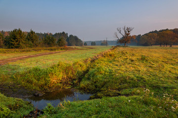 Chojnowski landscape park at autumn near Konstancin-Jeziorna, Masovia, Poland