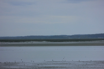 la baie de somme depuis le crotoy en picardie