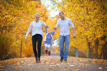 Herbstspaziergang in der Allee