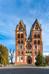 Fototapeta na wymiar gothic dome in Limburg, Germany in beautiful colors