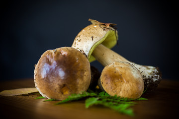 forest fresh natural mushrooms boletus on a black