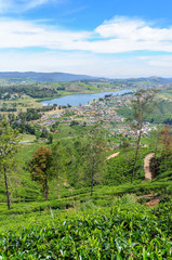 Fototapeta na wymiar The highlands of Sri Lanka. View of the village Nuwara Eliya.