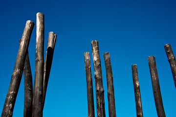 group of charred wooden poles against blue sky