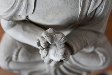 buddha hands with white feather