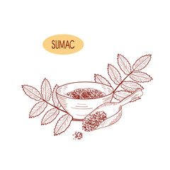 Sumac. Branch with leaves. Bowl with seasoning and scoop. Sketch. On a white background. Monophonic