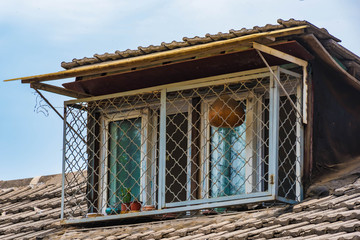 Dachgaube in Peking