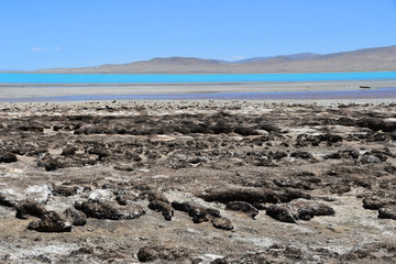 Lakes of Tibet. The store of lake of Sam Co in summer in clear weather