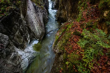 Deurstickers narrow creek and cliffs covered with autumnal foliage, moss and conifer Rettenbachklamm - Bad Ischl Austria © Alexandra Giese