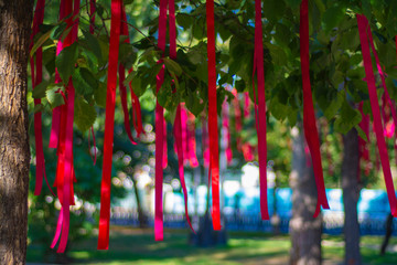 Red ribbons on the branches of a tree