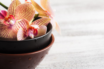Spa still life with red orange orchids in water
