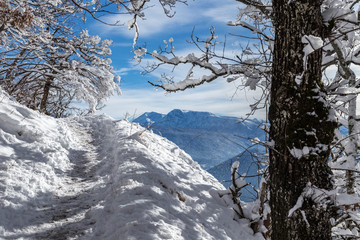 winter in den bergen