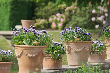 détail d'un jardin à la française
