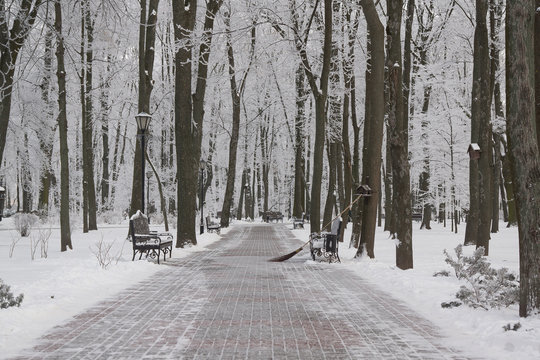 Snow-covered trees and benches in the city park. Sunset