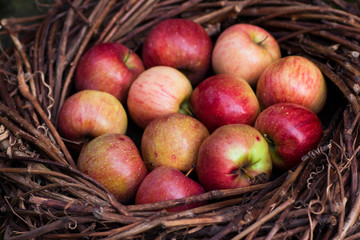 Fresh apples in a nest on concrete