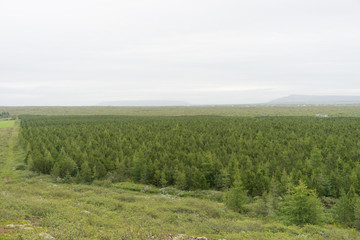 Fototapeta na wymiar Landschaft am Kerið – Kratersee im Süd-Westen Islands