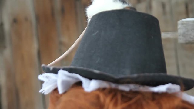 Adorable red-haired girl in ethnic costume with cute home rat on the hat. close-up