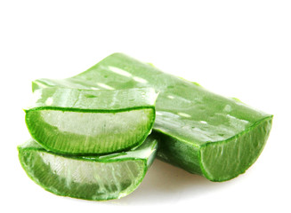 Aloe Vera Plant Isolated On White Background