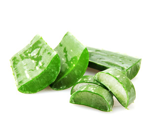 Aloe Vera Plant Isolated On White Background