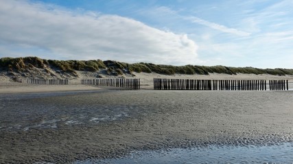 Wellenbrecher aus Holz am Nordseestrand in den Niederlanden