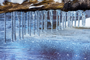 Icicles on an old tree hang above the surface of the water