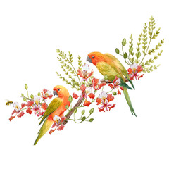 Watercolor tropical parrots composition