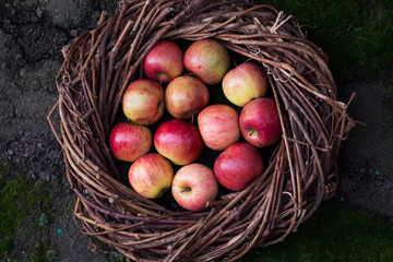 Fresh apples in a nest on concrete