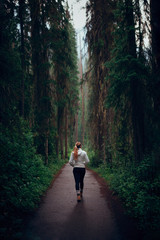 Obraz premium Walking in the woods Banff