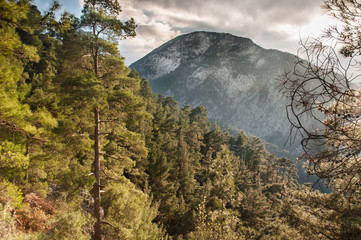 lonely white house in the green mountain jungle, Turkey