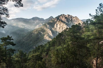 lonely white house in the green mountain jungle, Turkey