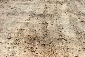Tracks on dirt road