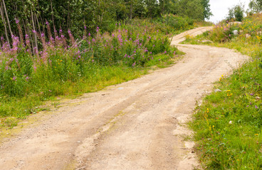 Fototapeta na wymiar Field dirt road along the forest in summer, Republic of Karelia, Russia