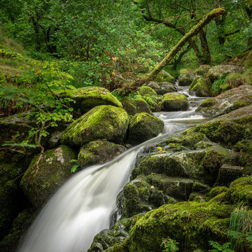 Waterfall At Aira Force National Trust, Lake District, UK