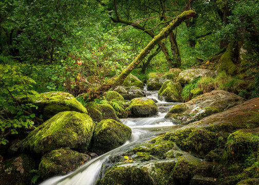 Waterfall At Aira Force National Trust, Lake District, UK