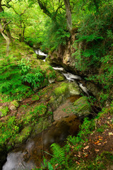 Fototapeta na wymiar Waterfall at Aira Force National Trust, Lake District, UK