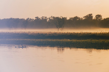 dawn on yellow water billabong , kakadu © livcool