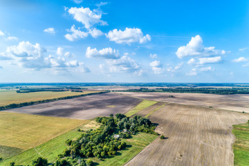 Typical Russian plain landscape.