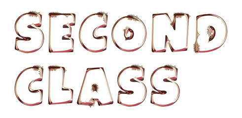Second Class - artistic text written on white background