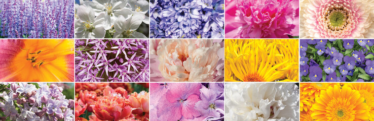 Beautiful lilac, white and pink flowers collage.