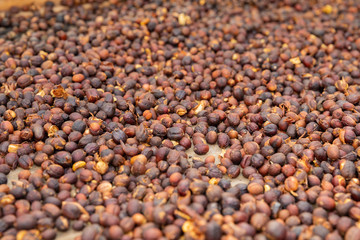 Close-up of Raw Coffee Beans Drying In Crate