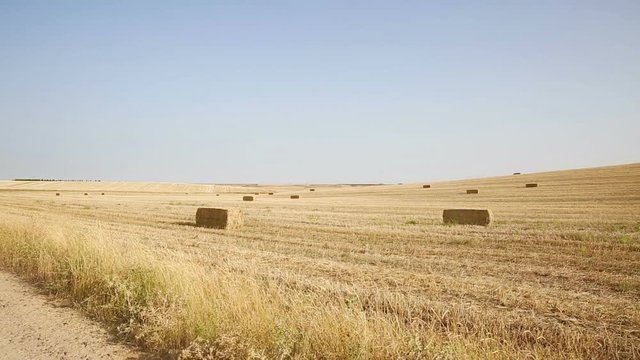 field of bales of hay next to Nava del Rey town, province of Valladolid, Spain